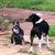 Tedra Landreaux's profile image
