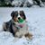 Shannon Upham's profile image