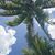 Stephanie Nobrega Goins's profile image