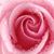 Aggie Barber's profile image