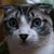 Janet Thorup's profile image