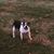 Liz Sokolow-Shockley's profile image