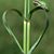 Ruth Beck's profile image