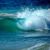 Sandra Laine Paschket's profile image