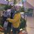Basant M. Mohamed's profile image