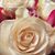 Christine Adams's profile image