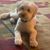 Julie Arens Davison's profile image