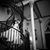 Lynden Garland's profile image