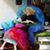 Denise Salvo's profile image