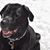 Kathleen Sherry's profile image
