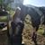 Cindy Garcia's profile image