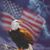 Ed Wiley's profile image