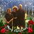 Melinda Sands-Acevedo's profile image