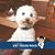 Linda Elliott Wilson's profile image