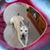 Jeanie Seifer's profile image