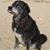 Amy Rakowski's profile image