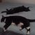 Vicki O'hara's profile image