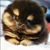 Rose Renee Neilson's profile image