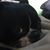 Sandy Glisson's profile image