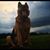 Giannoula Adamis-Irish's profile image