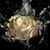 Judy Tennant's profile image