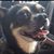 Sally Carder's profile image