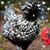 Terry Gesell's profile image