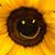 Caroline Tavernini's profile image