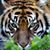 Steve Truesdell's profile image
