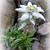 Anna Maria Nobilio's profile image