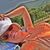 Melora Hart Dwyer's profile image