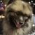 Debra L. Meyer's profile image