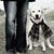 Kim Schrader's profile image