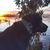 Stephanie Chappell McDuffie's profile image