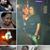 Sherika Mitchell's profile image