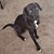 Chris Brummett's profile image