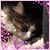 Brenda Schweitzer's profile image