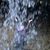 Lisa Ochsner Cowden Lillie's profile image