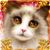 Debbie Iannetti's profile image