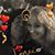 Jennifer Ulm's profile image