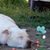 Jil Stroud's profile image