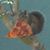 Dolores de Lejos's profile image