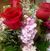 Donna Staatz's profile image