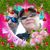 David Henries's profile image