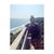Jacquelyn Elizabeth's profile image