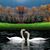 Beth Rapp's profile image