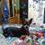 Pamela Laager's profile image