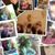 Patty McGehee's profile image