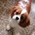 Peggy Gelakoski's profile image