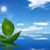 Thanh Huynh's profile image